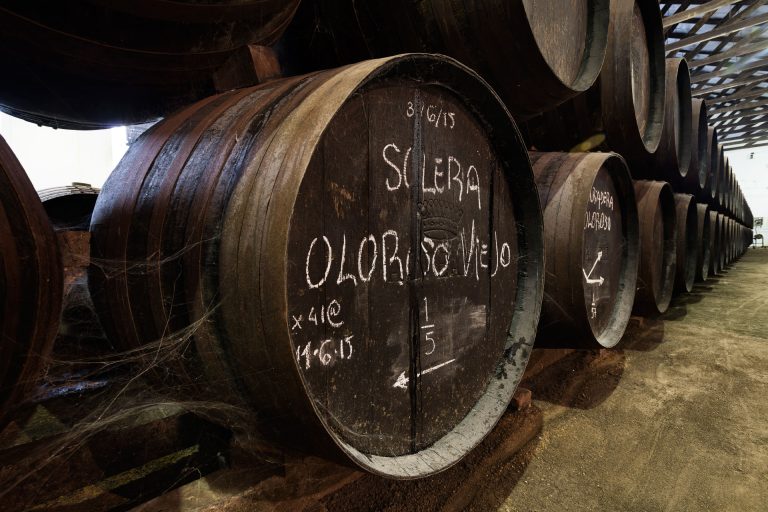Lire la suite à propos de l’article Les vins De Jerez (Esp), Xérès (Fra), Sherry (Ang)
