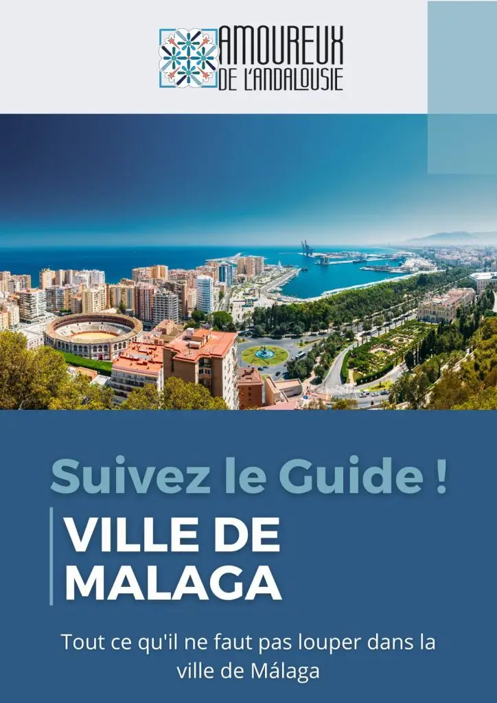 Les spectacles de Flamenco à Malaga avec le Tablao Alegria, Amoureux de l'Andalousie