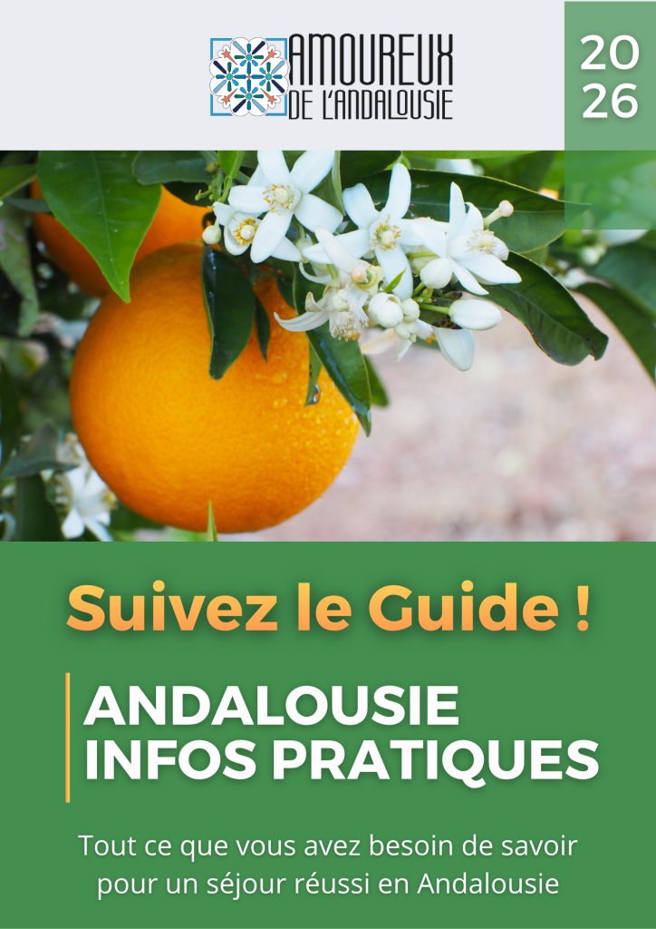 Soupes froides andalouses : Recettes et Traditions, Amoureux de l'Andalousie